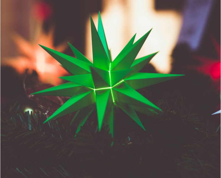 The Charm of Skinny and Blue Christmas Trees