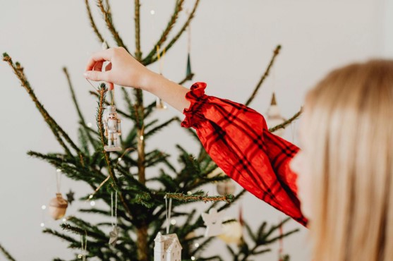 The King of Christmas Trees: A Multi-Color Celebration